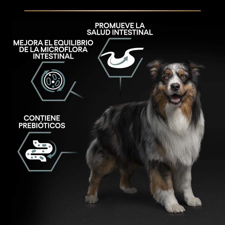 16.5 kg (14 + 2.5 kg &iexcl;gratis!) Pro Plan Adult Medium Digesti&oacute;n Cordero pienso para perros, , large Imagen numero 3